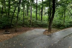 Campsite