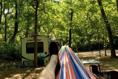 Hammock