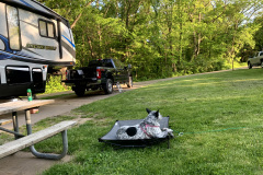 Molly Relaxing