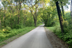 Exit Road