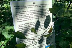 Sign