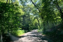 Back Road