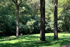 Picnic Area