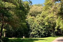 Picnic Area
