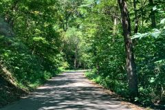 Road