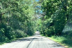 Back Road
