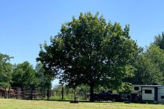 Equestrian Area