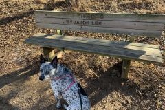 Bench