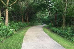 Trail