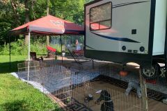 Dog Pen