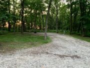 Site 65