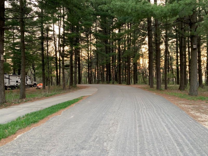 Middle of the (campsite) road
