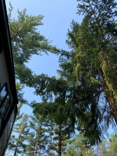 View from a hammock