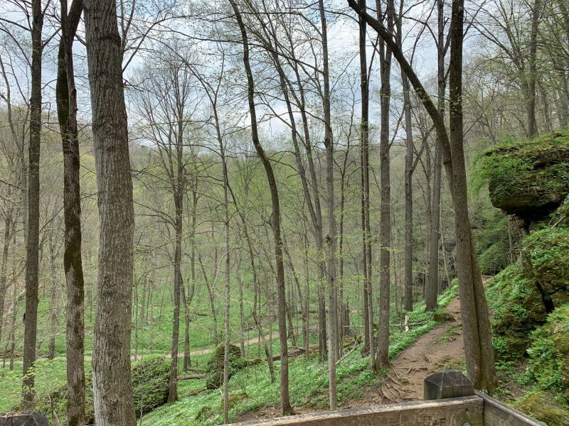 Along the hiking trail