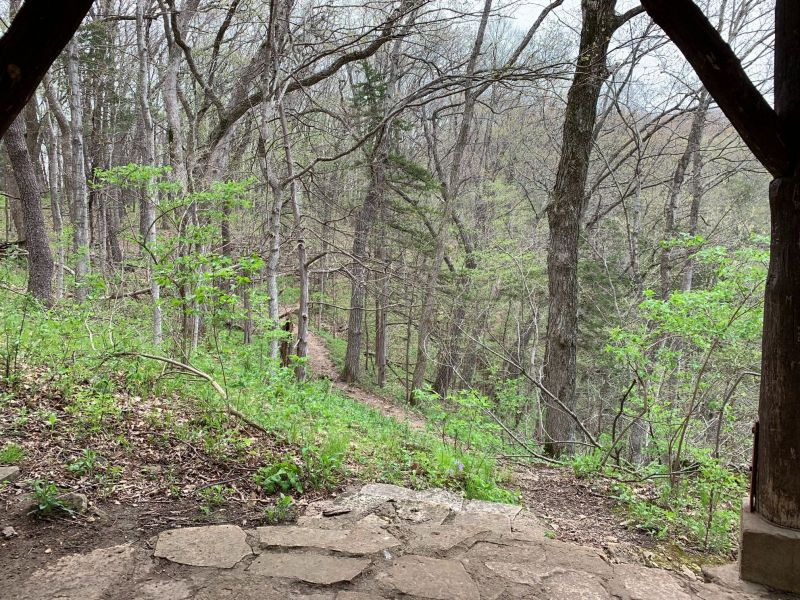 Taking the Valley Overlook Trail