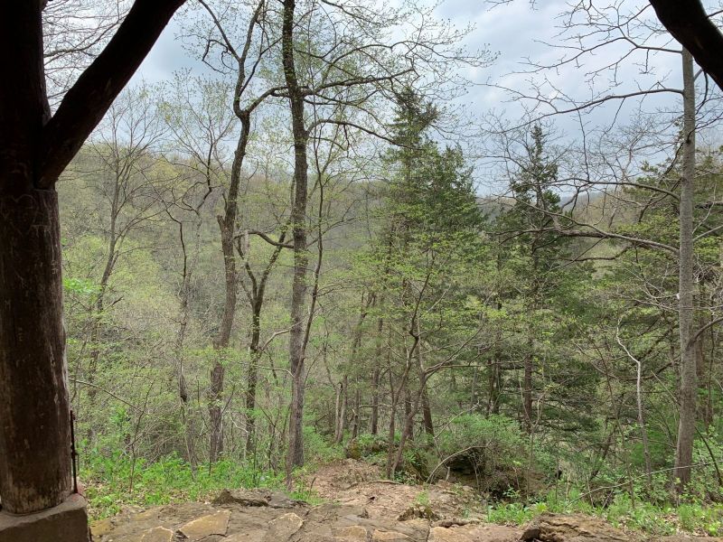 Scenic View