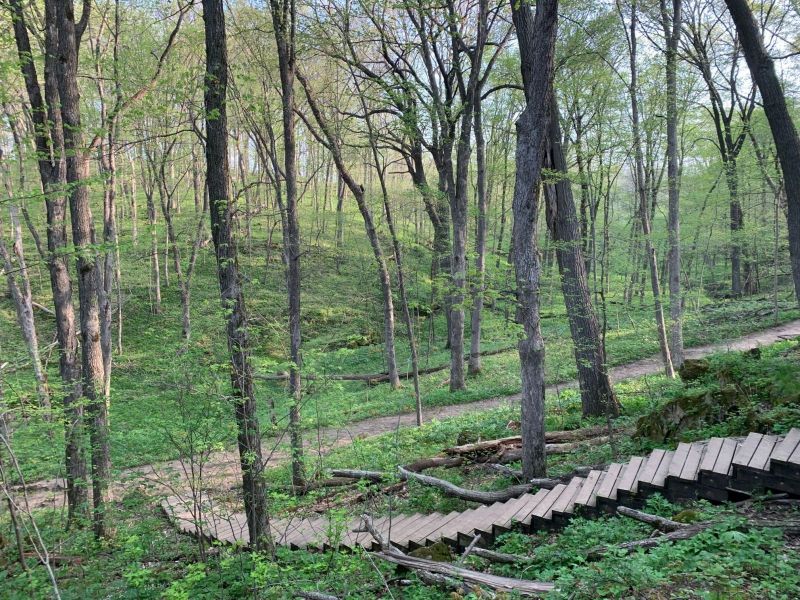 Stairs to Cave 7