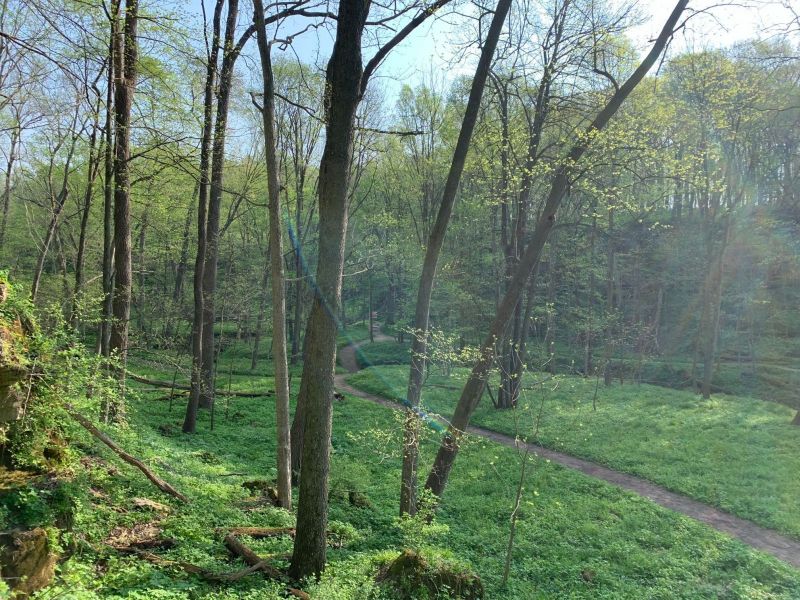 A view of the trail