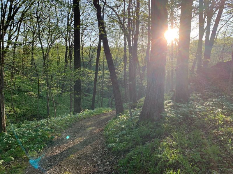 Sunrise on the trail