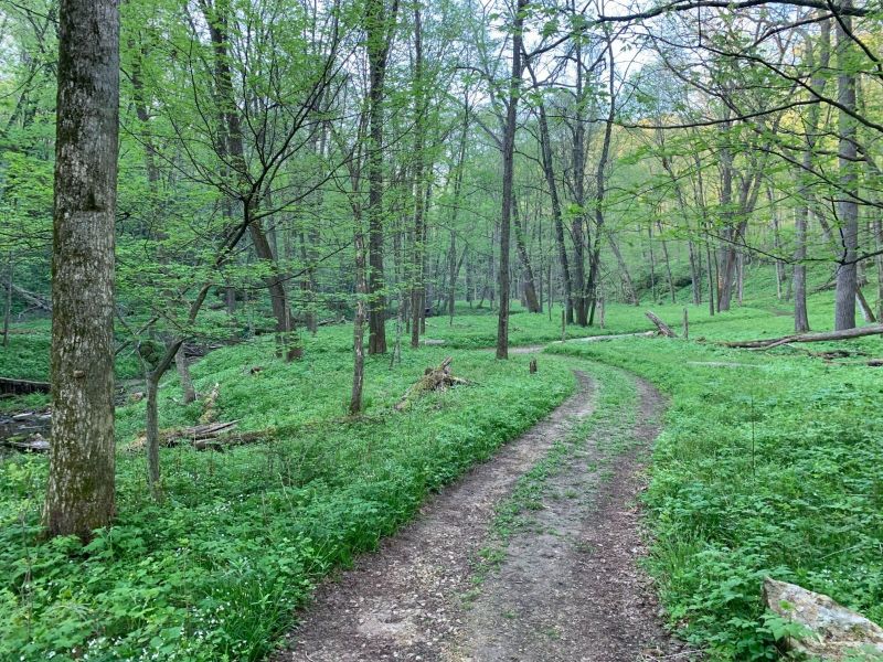The trail from the camp ground