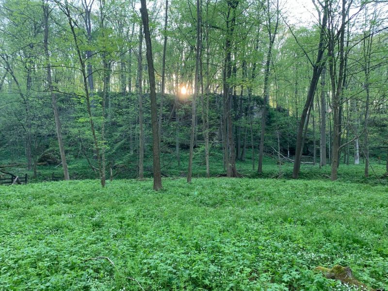 Sunrise on the trail