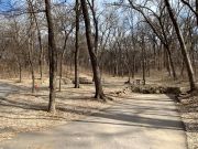 Camp Site
