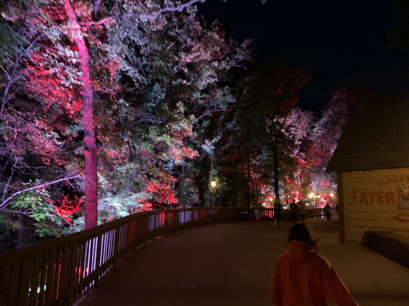 Pretty Trees