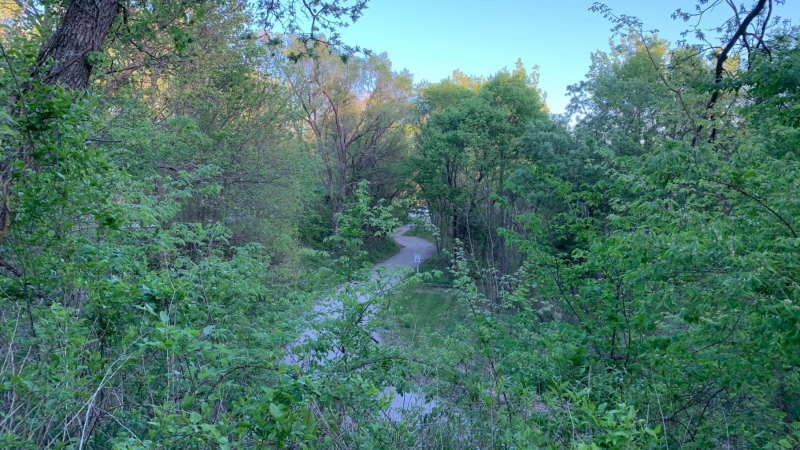 Cabin Road