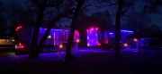 Night Shot