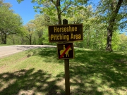 Horses