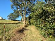 Hiking Trail View