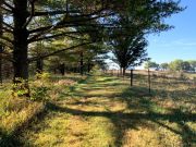 Hiking Trail View