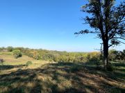 Hiking Trail View