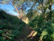 Hiking Trail View
