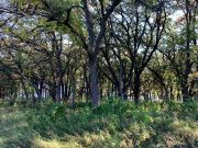 Hiking Trail View
