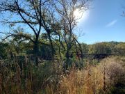 Hiking Trail View