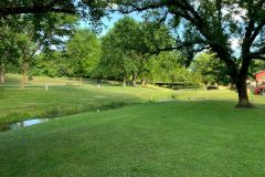 Grassy Area